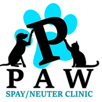PPAW-new-logo-teal
